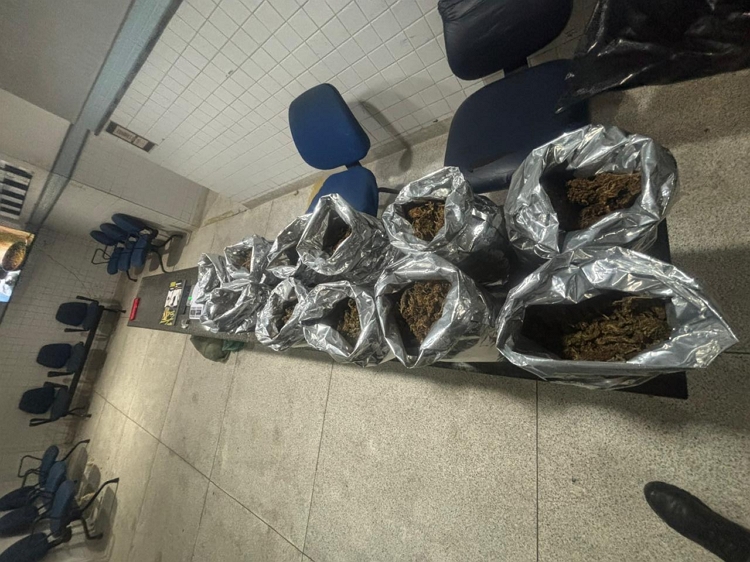 Polícia apreende mais de 5 kg de drogas após fuga de suspeitos em Camaragibe